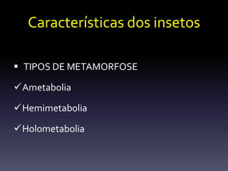 Características dos insetos

 TIPOS DE METAMORFOSE

Ametabolia

Hemimetabolia

Holometabolia
 