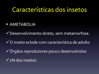 Características dos insetos

 AMETABOLIA

Desenvolvimento direto, sem metamorfose.

O inseto eclode com característica de adulto

Órgãos reprodutores pouco desenvolvidos

1% dos insetos
 