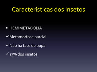 Características dos insetos

 HEMIMETABOLIA

Metamorfose parcial

Não há fase de pupa

13% dos insetos
 