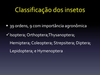 Classificação dos insetos

 39 ordens, 9 com importância agronômica

Isoptera; Orthoptera;Thysanoptera;
 Hemiptera; Coleoptera; Strepsitera; Diptera;
 Lepidoptera; e Hymenoptera
 