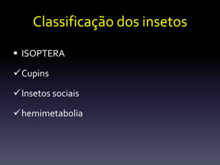 Classificação dos insetos
 ISOPTERA

Cupins

Insetos sociais

hemimetabolia
 