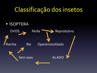 Classificação dos insetos

 ISOPTERA
  OVOS             Ninfa        Reprodutivo


Rainha       Rei      Operário/soldado


         Sem asas             ALADO
 
