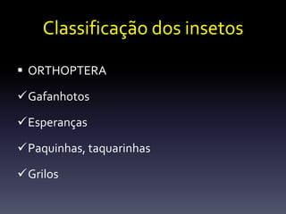 Classificação dos insetos

 ORTHOPTERA

Gafanhotos

Esperanças

Paquinhas, taquarinhas

Grilos
 