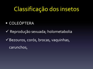 Classificação dos insetos

 COLEÓPTERA

 Reprodução sexuada; holometabolia

Bezouros, corós, brocas, vaquinhas,
 carunchos,
 