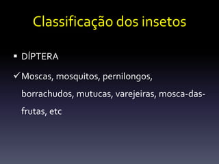 Classificação dos insetos

 DÍPTERA

Moscas, mosquitos, pernilongos,
 borrachudos, mutucas, varejeiras, mosca-das-
 frutas, etc
 