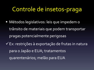 Controle de insetos-praga
 Métodos legislativos: leis que impedem o
  trânsito de materiais que podem transportar
  pragas potencialmente perigosas
Ex: restrições à exportação de frutas in natura
  para o Japão e EUA; tratamentos
  quarentenários; melão para EUA
 