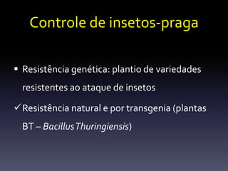 Controle de insetos-praga

 Resistência genética: plantio de variedades
  resistentes ao ataque de insetos

Resistência natural e por transgenia (plantas
  BT – Bacillus Thuringiensis)
 