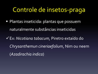 Controle de insetos-praga
 Plantas inseticida: plantas que possuem
  naturalmente substâncias inseticidas

Ex: Nicotiana tabacum, Piretro extaído do
  Chrysanthemun cineriaefolium, Nim ou neem
  (Azadirachia indica)
 