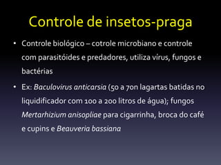 Controle de insetos-praga
• Controle biológico – cotrole microbiano e controle
  com parasitóides e predadores, utiliza vírus, fungos e
  bactérias
• Ex: Baculovirus anticarsia (50 a 70n lagartas batidas no
  liquidificador com 100 a 200 litros de água); fungos
  Mertarhizium anisopliae para cigarrinha, broca do café
  e cupins e Beauveria bassiana
 