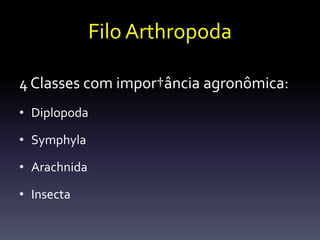 Filo Arthropoda

4 Classes com impor†ância agronômica:
• Diplopoda

• Symphyla

• Arachnida

• Insecta
 