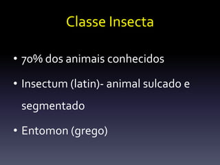 Classe Insecta

• 70% dos animais conhecidos

• Insectum (latin)- animal sulcado e
 segmentado

• Entomon (grego)
 