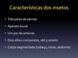 Características dos insetos

• Três pares de pernas

• Aparato bucal

• Um par de antenas

• Dois olhos compostos, até 3 oceolo

• Corpo segmentado (cabeça, tórax, abdome)
 