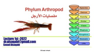 2022 alsaqabi -arthropoda
SouadAlsaqabi
Lecture1st-2022
dr.alsaqabi@gmail.com
PhylumArthropod
‫األرجل‬ ‫مفصليات‬
 