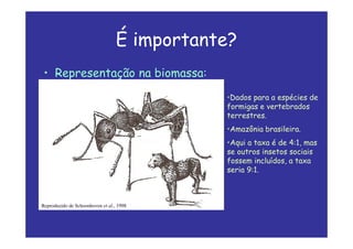 É importante?
• Representação na biomassa:
Reproduzido de Schoonhoven et al., 1998
•Dados para a espécies de
formigas e vertebrados
terrestres.
•Amazônia brasileira.
•Aqui a taxa é de 4:1, mas
se outros insetos sociais
fossem incluídos, a taxa
seria 9:1.
 
