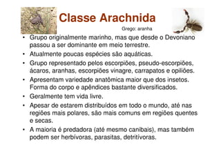 Classe Arachnida
• Grupo originalmente marinho, mas que desde o Devoniano
passou a ser dominante em meio terrestre.
• Atualmente poucas espécies são aquáticas.
• Grupo representado pelos escorpiões, pseudo-escorpiões,
ácaros, aranhas, escorpiões vinagre, carrapatos e opiliões.
• Apresentam variedade anatômica maior que dos insetos.
Forma do corpo e apêndices bastante diversificados.
• Geralmente tem vida livre.
• Apesar de estarem distribuídos em todo o mundo, até nas
regiões mais polares, são mais comuns em regiões quentes
e secas.
• A maioria é predadora (até mesmo canibais), mas também
podem ser herbívoras, parasitas, detritívoras.
Grego: aranha
 