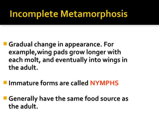  Gradual change in appearance. For
example,wing pads grow longer with
each molt, and eventually into wings in
the adult.
 Immature forms are called NYMPHS
 Generally have the same food source as
the adult.
 