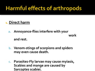1. Direct harm
a. Annoyance-flies interfere with your
work
and rest.
b. Venom-stings of scorpions and spiders
may even cause death.
c. Parasites-Fly larvae may cause myiasis,
Scabies and mange are caused by
Sarcoptes scabiei.
 