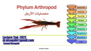 2022 alsaqabi -arthropoda
Phylum Arthropod
‫األرجل‬ ‫مفصليات‬
SouadAlsaqabi
Lecture2nd-2022
dr.alsaqabi@gmail.com
 