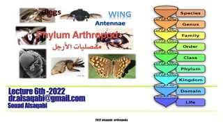 2022 alsaqabi -arthropoda
Phylum Arthropod
‫األرجل‬ ‫مفصليات‬
SouadAlsaqabi
Lecture6th-2022
dr.alsaqabi@gmail.com
 