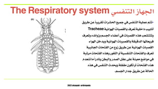 2022 alsaqabi -arthropoda
•
‫طريق‬ ‫عن‬ ً‫ا‬‫تقريب‬ ‫الحشرات‬ ‫جميع‬ ‫في‬ ‫التنفس‬ ‫عملية‬ ‫تتم‬
Tracheae ‫الهوائية‬ ‫بالق...