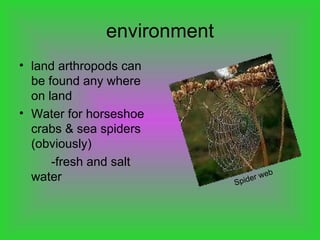 environment land arthropods can be found any where on land Water for horseshoe crabs & sea spiders (obviously) -fresh and salt  water Spider web 