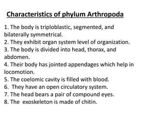 Arthropoda classification | PPTX