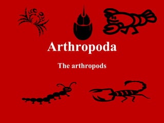 Arthropoda
 The arthropods
 