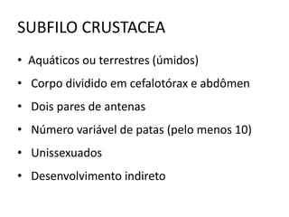 SUBFILO CRUSTACEA
• Aquáticos ou terrestres (úmidos)
• Corpo dividido em cefalotórax e abdômen
• Dois pares de antenas
• Número variável de patas (pelo menos 10)
• Unissexuados
• Desenvolvimento indireto
 