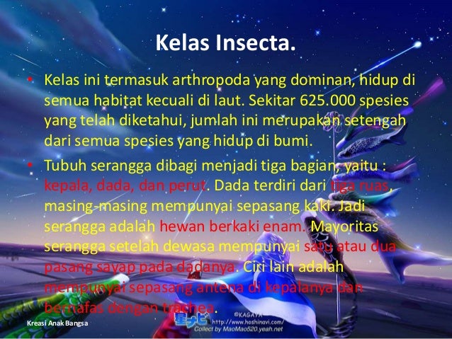 Arthropoda Kelomp 2 Kel X 6