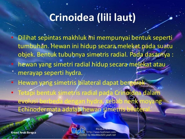 Arthropoda kelomp 2 kel x 6 Arthropoda kelomp 2 kel x 6