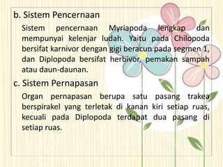 b. Sistem Pencernaan
Sistem pencernaan Myriapoda lengkap dan
mempunyai kelenjar ludah. Yaitu pada Chilopoda
bersifat karnivor dengan gigi beracun pada segmen 1,
dan Diplopoda bersifat herbivor, pemakan sampah
atau daun-daunan.
c. Sistem Pernapasan
Organ pernapasan berupa satu pasang trakea
berspirakel yang terletak di kanan kiri setiap ruas,
kecuali pada Diplopoda terdapat dua pasang di
setiap ruas.
 