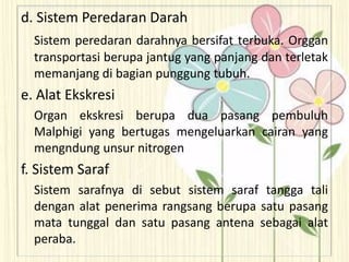 d. Sistem Peredaran Darah
Sistem peredaran darahnya bersifat terbuka. Orggan
transportasi berupa jantug yang panjang dan terletak
memanjang di bagian punggung tubuh.
e. Alat Ekskresi
Organ ekskresi berupa dua pasang pembuluh
Malphigi yang bertugas mengeluarkan cairan yang
mengndung unsur nitrogen
f. Sistem Saraf
Sistem sarafnya di sebut sistem saraf tangga tali
dengan alat penerima rangsang berupa satu pasang
mata tunggal dan satu pasang antena sebagai alat
peraba.
 
