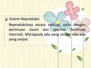 g. Sistem Reproduksi
Reproduksinya secara seksual, yaitu dengan
pertmuan ovum dan sperma (fertilisasi
internal). Myriapoda ada yang vivipar dan ada
yang ovipar.
 