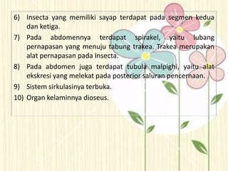 6) Insecta yang memiliki sayap terdapat pada segmen kedua
dan ketiga.
7) Pada abdomennya terdapat spirakel, yaitu lubang
pernapasan yang menuju tabung trakea. Trakea merupakan
alat pernapasan pada Insecta.
8) Pada abdomen juga terdapat tubula malpighi, yaitu alat
ekskresi yang melekat pada posterior saluran pencernaan.
9) Sistem sirkulasinya terbuka.
10) Organ kelaminnya dioseus.
 