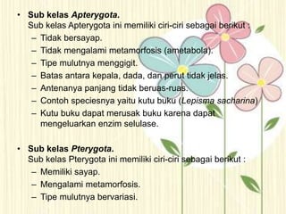 • Sub kelas Apterygota.
Sub kelas Apterygota ini memiliki ciri-ciri sebagai berikut :
– Tidak bersayap.
– Tidak mengalami metamorfosis (ametabola).
– Tipe mulutnya menggigit.
– Batas antara kepala, dada, dan perut tidak jelas.
– Antenanya panjang tidak beruas-ruas.
– Contoh speciesnya yaitu kutu buku (Lepisma sacharina)
– Kutu buku dapat merusak buku karena dapat
mengeluarkan enzim selulase.
• Sub kelas Pterygota.
Sub kelas Pterygota ini memiliki ciri-ciri sebagai berikut :
– Memiliki sayap.
– Mengalami metamorfosis.
– Tipe mulutnya bervariasi.
 