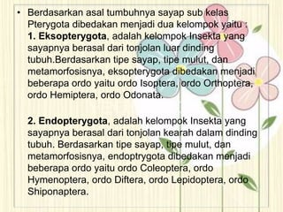 • Berdasarkan asal tumbuhnya sayap sub kelas
Pterygota dibedakan menjadi dua kelompok yaitu :
1. Eksopterygota, adalah kelompok Insekta yang
sayapnya berasal dari tonjolan luar dinding
tubuh.Berdasarkan tipe sayap, tipe mulut, dan
metamorfosisnya, eksopterygota dibedakan menjadi
beberapa ordo yaitu ordo Isoptera, ordo Orthoptera,
ordo Hemiptera, ordo Odonata.
2. Endopterygota, adalah kelompok Insekta yang
sayapnya berasal dari tonjolan kearah dalam dinding
tubuh. Berdasarkan tipe sayap, tipe mulut, dan
metamorfosisnya, endoptrygota dibedakan menjadi
beberapa ordo yaitu ordo Coleoptera, ordo
Hymenoptera, ordo Diftera, ordo Lepidoptera, ordo
Shiponaptera.
 
