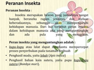Peranan Insekta
Peranan Insekta :
Insekta merupakan hewan yang jumlahnya sangat
banyak, beraneka ragam jenisnya, dan meluas
keberadaannya, sehungga akan mempengaruhi
kehidupan manusia. Dari hal tersebut peran insekta
dalam kehidupan manusia ada yang menguntungkan
dan ada pula yang merugikan.
Peran insekta yang menguntungkan adalah :
• kupu-kupu atau lalat dapat membantu mempercepat
proses penyerbukan pada tanaman berbuah
• Penghasil madu, yaitu lebah (Apis indica)
• Penghasil bahan kain sutera, yaitu pupa kupu-kupu
sutera (Bombyx mori).
 