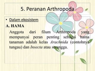 5. Peranan Arthropoda
• Dalam ekosistem
A. HAMA
Anggota dari filum Arthropoda yang
mempunyai peran penting sebagai hama
tanaman adalah kelas Arachnida (contohnya
tungau) dan Insecta atau serangga.
 