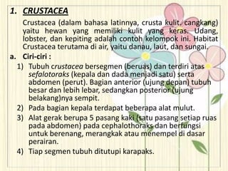 1. CRUSTACEA
Crustacea (dalam bahasa latinnya, crusta kulit. cangkang)
yaitu hewan yang memiliki kulit yang keras. Udang,
lobster, dan kepiting adalah contoh kelompok ini. Habitat
Crustacea terutama di air, yaitu danau, laut, dan sungai.
a. Ciri-ciri :
1) Tubuh crustacea bersegmen (beruas) dan terdiri atas
sefalotoraks (kepala dan dada menjadi satu) serta
abdomen (perut). Bagian anterior (ujung depan) tubuh
besar dan lebih lebar, sedangkan posterior (ujung
belakang)nya sempit.
2) Pada bagian kepala terdapat beberapa alat mulut.
3) Alat gerak berupa 5 pasang kaki (satu pasang setiap ruas
pada abdomen) pada cephalothoraks dan berfungsi
untuk berenang, merangkak atau menempel di dasar
perairan.
4) Tiap segmen tubuh ditutupi karapaks.
 