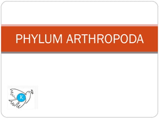 PHYLUM ARTHROPODA 
