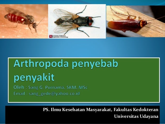 Arthropoda penyebab penyakit