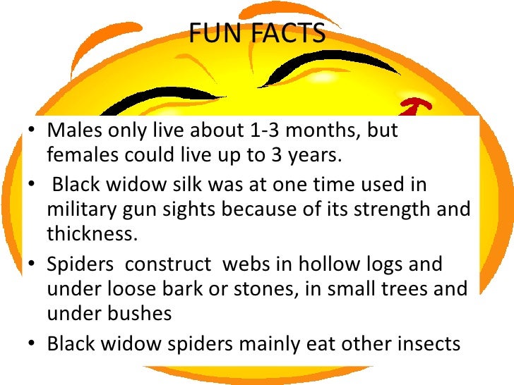 Black Widow Spider Random Facts - 12 Scary Redback Spider Facts The Ultimate List : 5 facts about black widow spider.