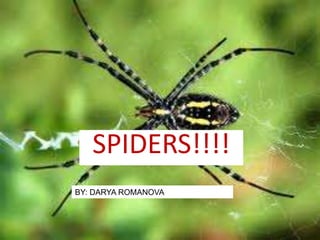 SPIDERS!!!! BY: DARYA ROMANOVA 