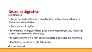 Sistema digestivo
 Completo;
 Peças bucais (quelíceras e mandíbulas) - adaptados a diferentes
formas de alimentação;
 Dividido em 3 regiões:
 Estomadeu: faringe/esôfago, papo e estômago (ingestão, trituração
e armazenamento do alimento);
 Mesêntero: intestino com cecos (digestão e secreção de enzimas);
 Proctodeu: intestino e reto (absorção
dos nutrientes).
 