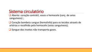 Sistema circulatório
 Aberto: coração contrátil, vasos e hemocele (conj. de seios
sanguíneos) ;
 Coração bombeia sangue (hemolinfa) para os tecidos através de
artérias e recolhido pela hemocele (seios sanguíneos);
 Sangue dos insetos não transporta gases.
 