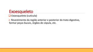  Exoesqueleto (cutícula)
 Revestimento da região anterior e posterior do trato digestivo,
formar peças bucais, órgãos de cópula, etc.
Exoesqueleto
 
