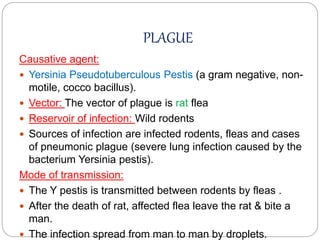PLAGUE
Causative agent:
 Yersinia Pseudotuberculous Pestis (a gram negative, non-
motile, cocco bacillus).
 Vector: The vector of plague is rat flea
 Reservoir of infection: Wild rodents
 Sources of infection are infected rodents, fleas and cases
of pneumonic plague (severe lung infection caused by the
bacterium Yersinia pestis).
Mode of transmission:
 The Y pestis is transmitted between rodents by fleas .
 After the death of rat, affected flea leave the rat & bite a
man.
 The infection spread from man to man by droplets.
 