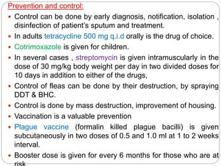 Prevention and control:
 Control can be done by early diagnosis, notification, isolation ,
disinfection of patient’s sputum and treatment.
 In adults tetracycline 500 mg q.i.d orally is the drug of choice.
 Cotrimoxazole is given for children.
 In several cases , streptomycin is given intramuscularly in the
dose of 30 mg/kg body weight per day in two divided doses for
10 days in addition to either of the drugs,
 Control of fleas can be done by their destruction, by spraying
DDT & BHC.
 Control is done by mass destruction, improvement of housing.
 Vaccination is a valuable prevention
 Plague vaccine (formalin killed plague bacilli) is given
subcutaneously in two doses of 0.5 and 1.0 ml at 1 to 2 weeks
interval.
 Booster dose is given for every 6 months for those who are at
 