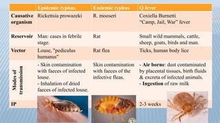 Typhus Vector Arthropod borne part 2 | PPTX