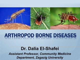 ARTHROPOD BORNE DISEASES
Dr. Dalia El-Shafei
Assistant Professor, Community Medicine
Department, Zagazig University
 